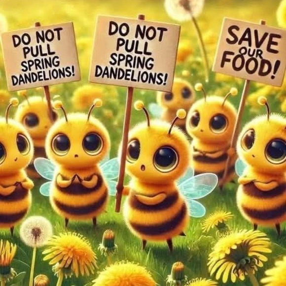 Meet your Posher, Latasha - Picture 7 of 14